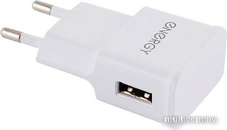 Сетевое зарядное Energy ET-09 (белый)