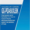 Картридж G&amp;G GG-PGI450XLBK (аналог Canon PGI450XLBK)