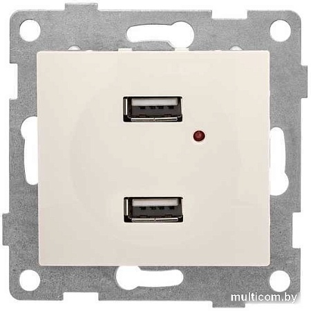 Розетка USB Gusi Electric Bravo С10USB2-003