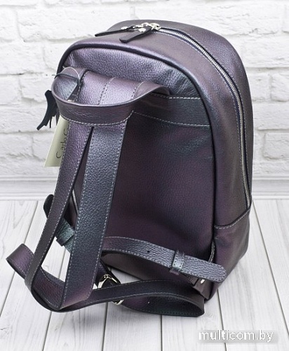 Городской рюкзак Carlo Gattini Premium Albiate 3103-57 (северное сияние)