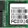 SSD Transcend MTS600 256GB (TS256GMTS600)