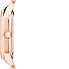 Наручные часы Anne Klein 3774BYRG