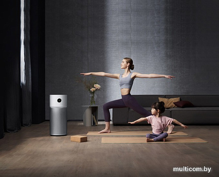 Очиститель воздуха Xiaomi Smart Air Purifier Elite Y-600 (европейская версия)
