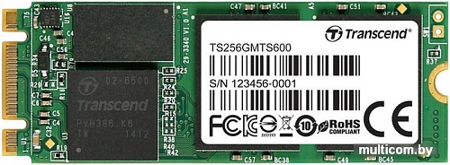 SSD Transcend MTS600 256GB (TS256GMTS600)