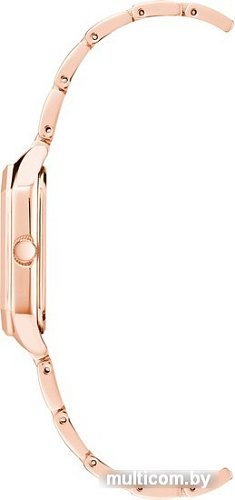 Наручные часы Anne Klein 3774BYRG
