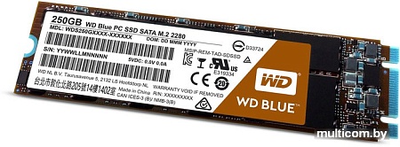 SSD WD Blue M.2 2280 250GB [WDS250G1B0B]