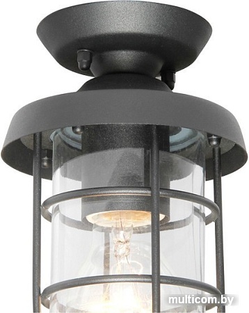 Садовый светильник Favourite Pointer 3021-1P