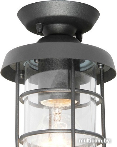 Садовый светильник Favourite Pointer 3021-1P