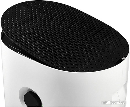 Мойка воздуха Electrolux EHW-620