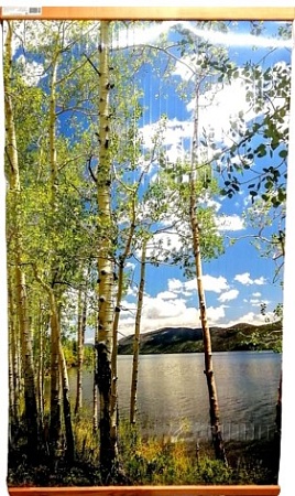 Инфракрасный обогреватель ТеплоМакс Домашний очаг (березки)