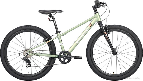 Велосипед Maxiscoo 5bike 24 M200 2025 MSC-M5-2411 (хаки)