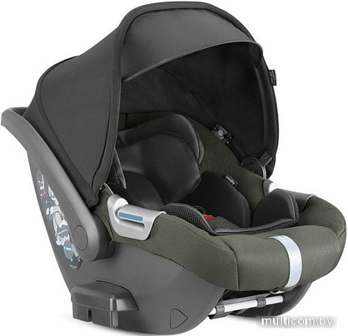 Inglesina Darwin Infant i-Size AV74M6SQG (sequoia green)