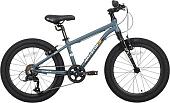 Детский велосипед Maxiscoo 3bike 20 M 2025 MSC-M3-2001 (серый матовый)
