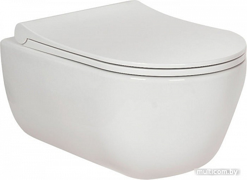 Унитаз Berges Wasserhaus Ego Rimless + Toma Slim 082111