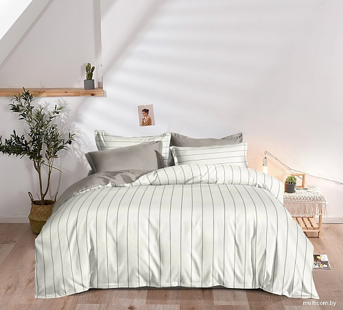 Постельное белье Царство сновидений Поплин Варди 150-0079 (евро с прост. на рез. 180х200,нав. 70x70)