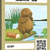 Конструктор QBRIX Бобр 3D 20076