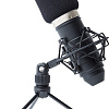 Микрофон Marantz MPM-1000