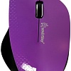 Мышь SmartBuy 309AG Purple (SBM-309AG-P)