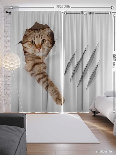 JoyArty Кот с царапиной p_31202