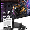 Монитор ExeGate SmartView EP2207A EX295590RUS