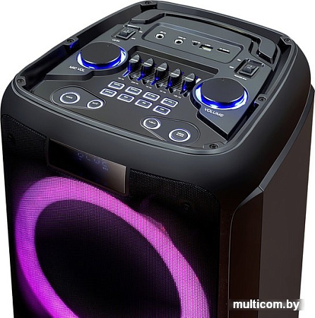 Колонка для вечеринок Ginzzu GM-202