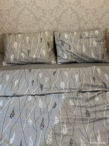 Постельное белье Блакiт Фредерик 2сп 70х70 41251/0 638202/587315 К