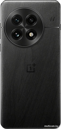 Смартфон OnePlus 13 16GB/512GB международная версия (черный)