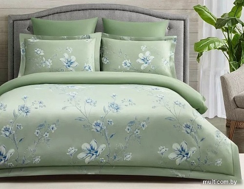 Постельное белье Arya Majestik Бамбук 2сп 8680943247520 (зеленый/синий)