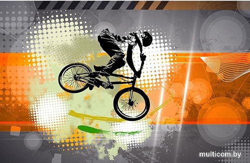 Фотообои Citydecor Байк трэвел 400x260