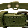 Ошейник Angel Pet Alpine 41034/AG (зеленый)