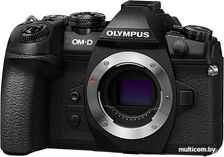 Фотоаппарат Olympus OM-D E-M1 Mark II Body