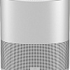 Bose Home Speaker 500 (серебристый)