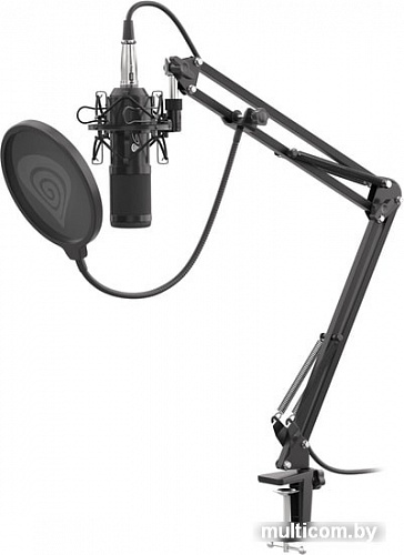 Микрофон Genesis Radium 300 XLR