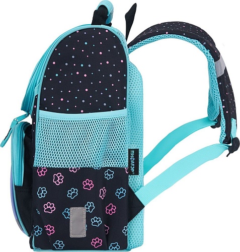 Школьный рюкзак Пифагор Basic. Funny Cats 273135