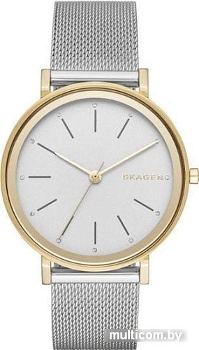 Наручные часы Skagen SKW2508