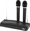 Микрофон Ritmix RWM-210