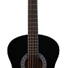 Акустическая гитара Terris TF-3805A BK