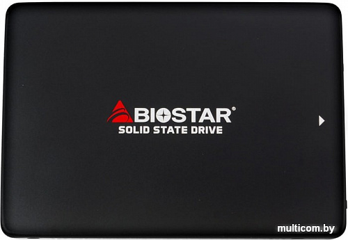 SSD BIOSTAR S100 256GB S100-256G