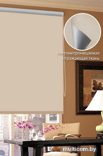 Рулонные шторы Эскар Blackout 160x170 890091601701 (бежевый)