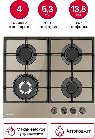 Варочная панель Hansa BHKY61139