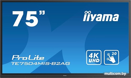 Интерактивная панель Iiyama ProLite TE7504MIS-B2AG