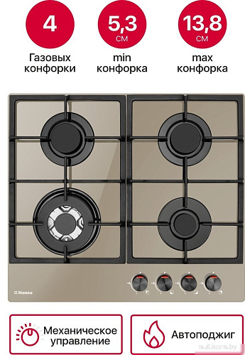 Варочная панель Hansa BHKY61139