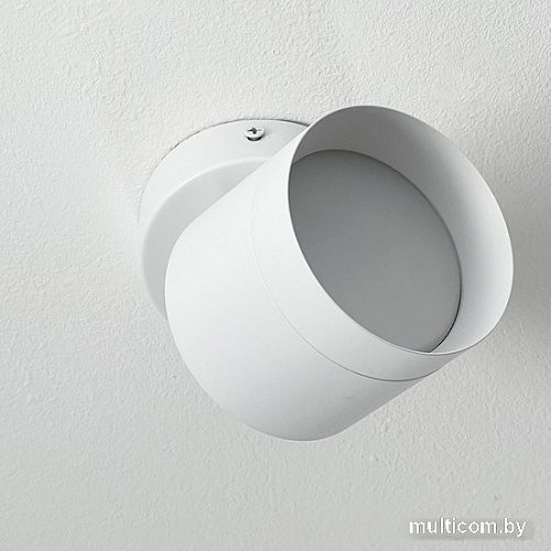 Спот TruEnergy 21027