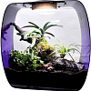 Террариум Lucky Reptile Life Box LB-35P (фиолетовый)