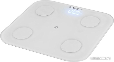 Scarlett SC-BS33ED47