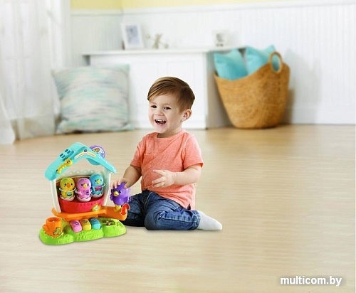 Сортер VTech Поющий домик с птичками 80-522426