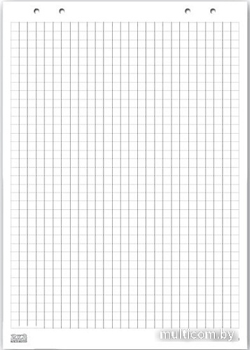 Бумага для флипчарта 2x3 58х83см B01 (30 л)
