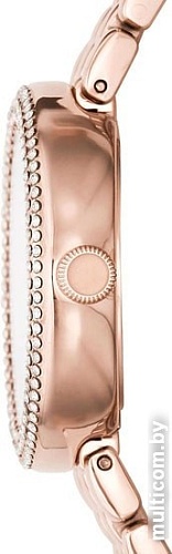 Наручные часы Emporio Armani Rosa AR11355