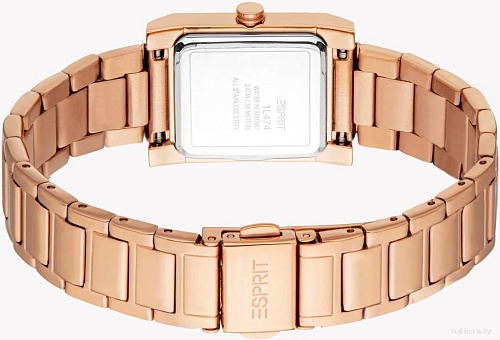 Наручные часы Esprit ES1L474M0045
