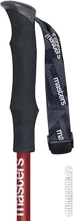 Треккинговые палки Masters Summit Light Red 01S4419